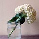 Glass vase