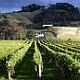 Hawkes Bay wine tour