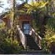 Rainforest Retreat