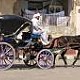 Carriage Ride