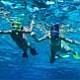 Snorkling