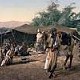 Evening With the Bedouin