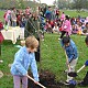 Offset our carbon footprint