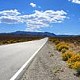 The Open Road