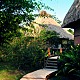 Lunch at the Cotton Tree Lodge 