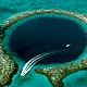 Trip to the Great Blue Hole
