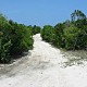 Historic Nature Walk 