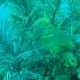 Marine Life Discovery