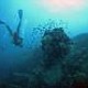 Discover Scuba